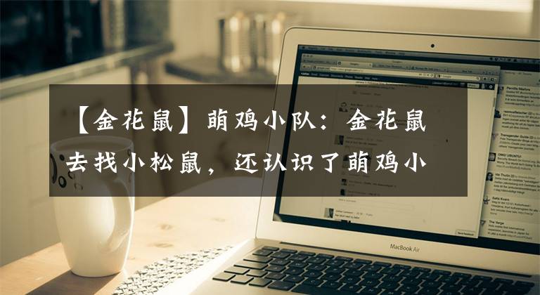 【金花鼠】萌鸡小队：金花鼠去找小松鼠，还认识了萌鸡小队，金花鼠非常开心