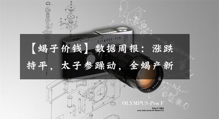 【蝎子价钱】数据周报：涨跌持平，太子参躁动，全蝎产新显缓