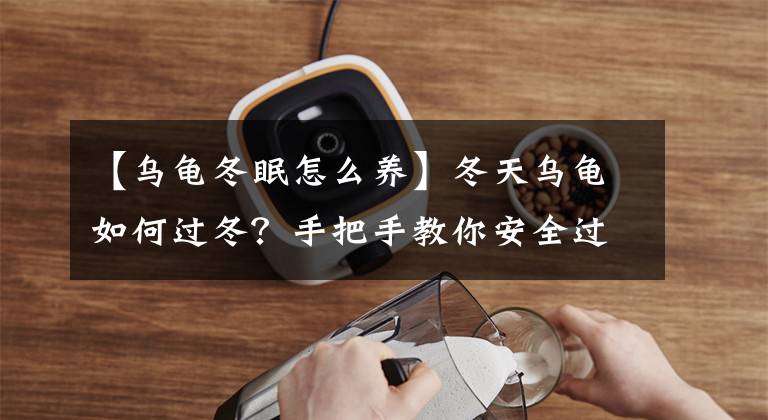 【乌龟冬眠怎么养】冬天乌龟如何过冬？手把手教你安全过冬的方法