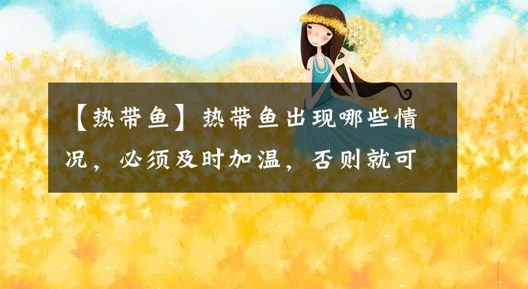 【热带鱼】热带鱼出现哪些情况，必须及时加温，否则就可以面临患病或死亡？