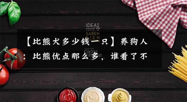 【比熊犬多少钱一只】养狗人：比熊优点那么多，谁看了不想饲养