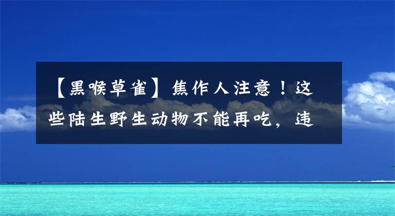 【黑喉草雀】焦作人注意！这些陆生野生动物不能再吃，违法