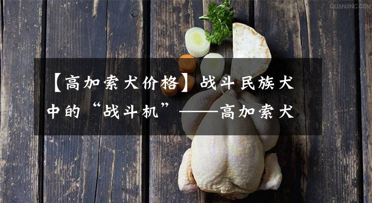 【高加索犬价格】战斗民族犬中的“战斗机”——高加索犬