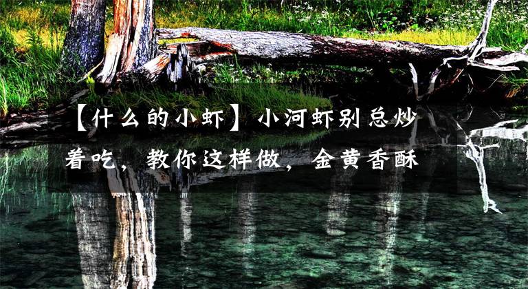 【什么的小虾】小河虾别总炒着吃，教你这样做，金黄香酥，比炒的好吃百倍