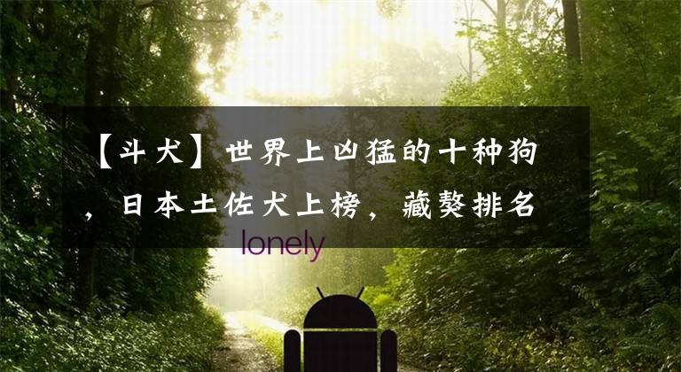 【斗犬】世界上凶猛的十种狗，日本土佐犬上榜，藏獒排名第二