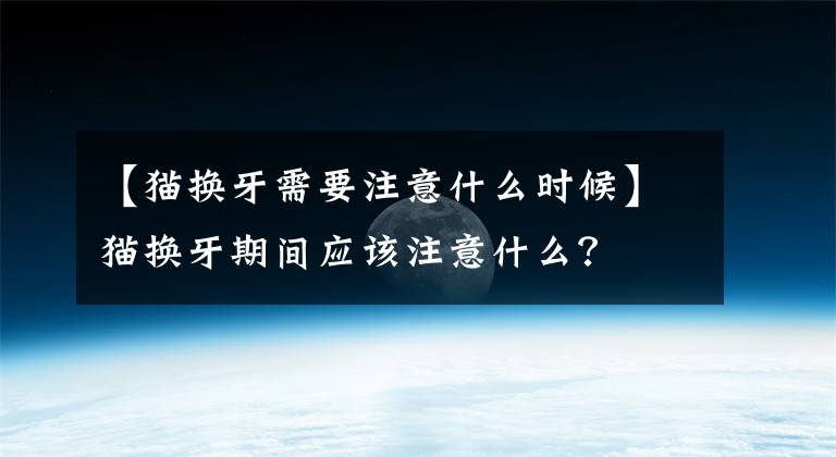【猫换牙需要注意什么时候】猫换牙期间应该注意什么？