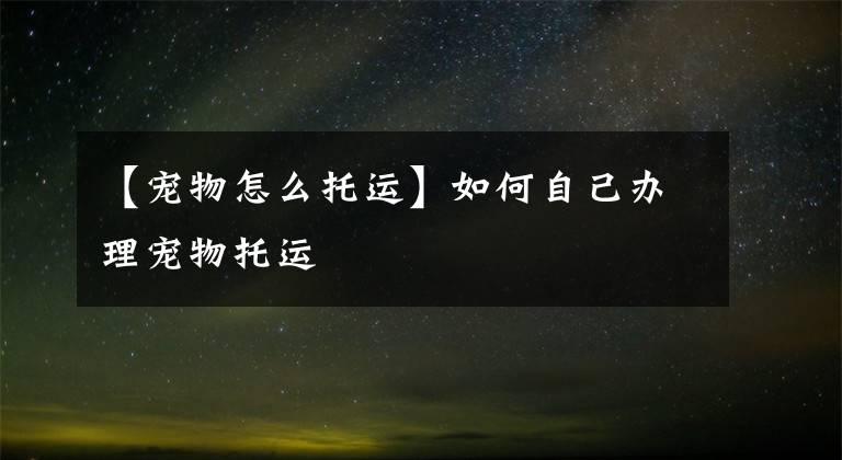 【宠物怎么托运】如何自己办理宠物托运