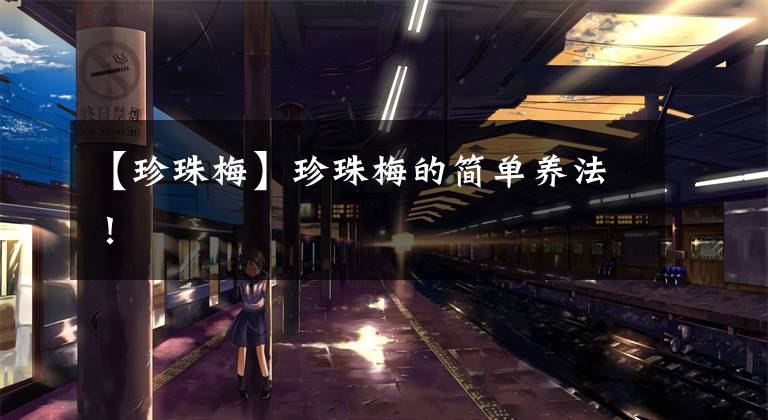 【珍珠梅】珍珠梅的简单养法！