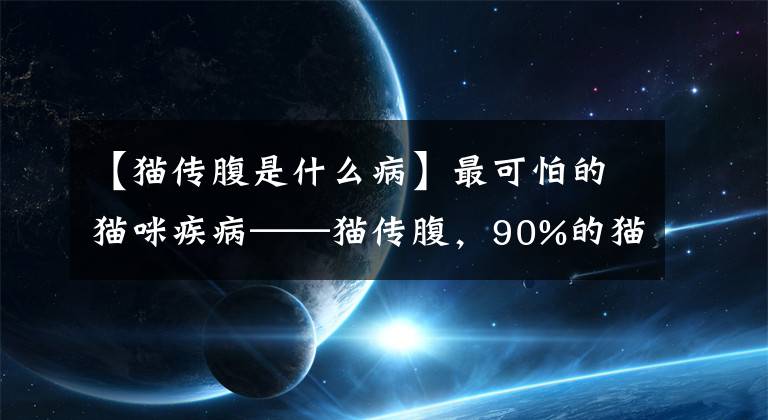 【猫传腹是什么病】最可怕的猫咪疾病——猫传腹，90%的猫咪竟然都携带