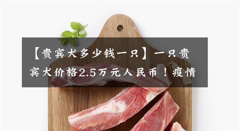 【贵宾犬多少钱一只】一只贵宾犬价格2.5万元人民币！疫情下日本出现“养宠热”，宠物价格急剧上涨