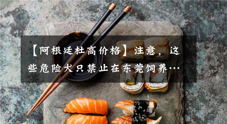 【阿根廷杜高价格】注意，这些危险犬只禁止在东莞饲养……