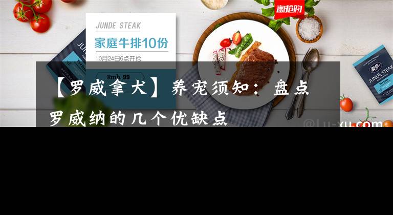 【罗威拿犬】养宠须知：盘点罗威纳的几个优缺点