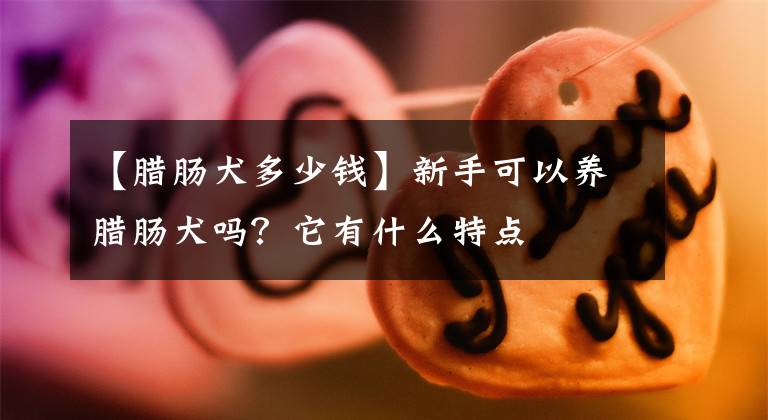 【腊肠犬多少钱】新手可以养腊肠犬吗？它有什么特点
