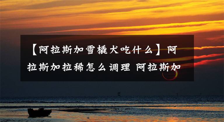 【阿拉斯加雪橇犬吃什么】阿拉斯加拉稀怎么调理 阿拉斯加犬拉肚子怎么办