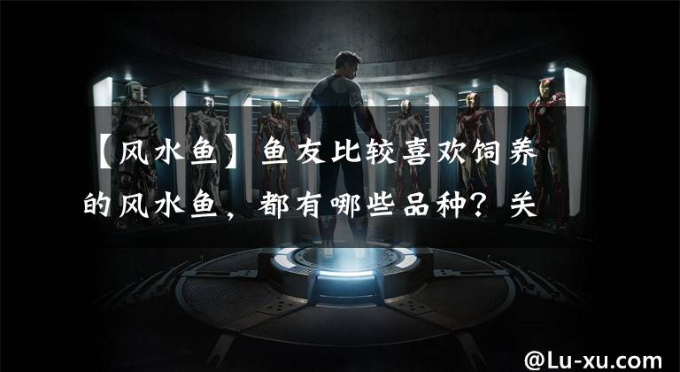 【风水鱼】鱼友比较喜欢饲养的风水鱼，都有哪些品种？关键是名字好和寓意好