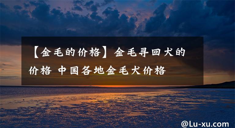 【金毛的价格】金毛寻回犬的价格 中国各地金毛犬价格