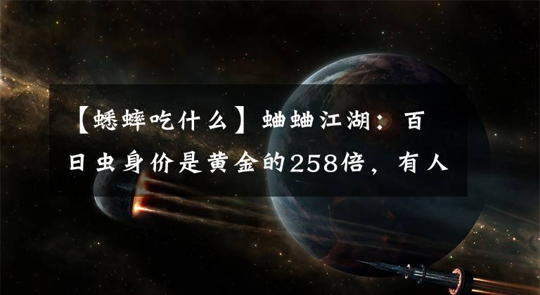 【蟋蟀吃什么】蛐蛐江湖：百日虫身价是黄金的258倍，有人拿500万房子伺候