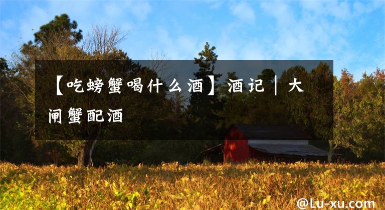 【吃螃蟹喝什么酒】酒记｜大闸蟹配酒