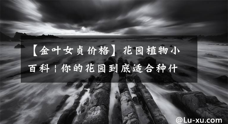 【金叶女贞价格】花园植物小百科 | 你的花园到底适合种什么植物？对症下药是关键