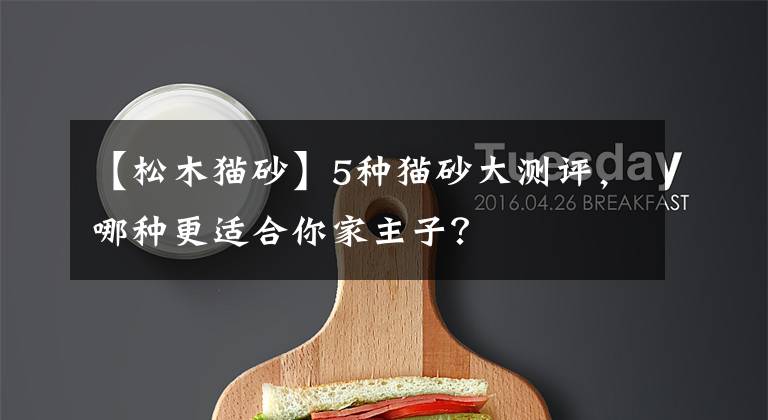 【松木猫砂】5种猫砂大测评，哪种更适合你家主子？