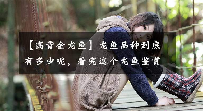 【高背金龙鱼】龙鱼品种到底有多少呢，看完这个龙鱼鉴赏图大全，答案就出来了！