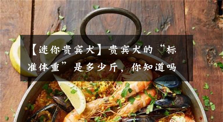 【迷你贵宾犬】贵宾犬的“标准体重”是多少斤，你知道吗？