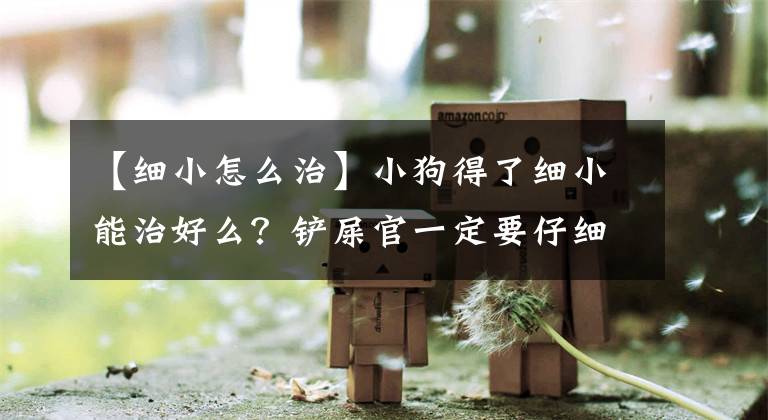 【细小怎么治】小狗得了细小能治好么？铲屎官一定要仔细看