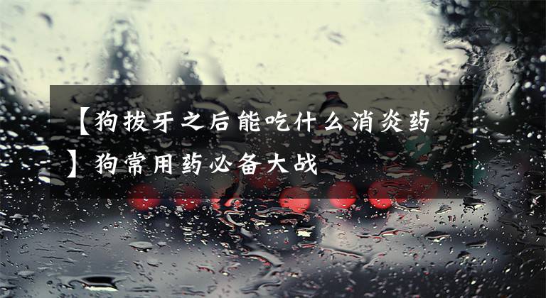 【狗拔牙之后能吃什么消炎药】狗常用药必备大战