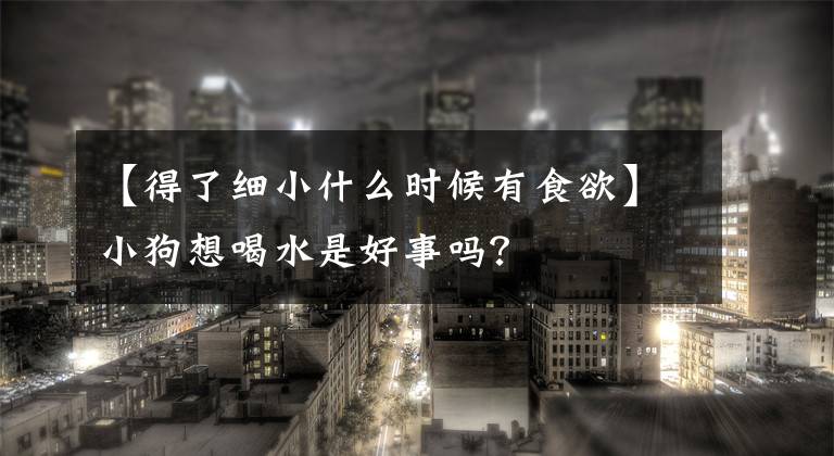 【得了细小什么时候有食欲】小狗想喝水是好事吗？