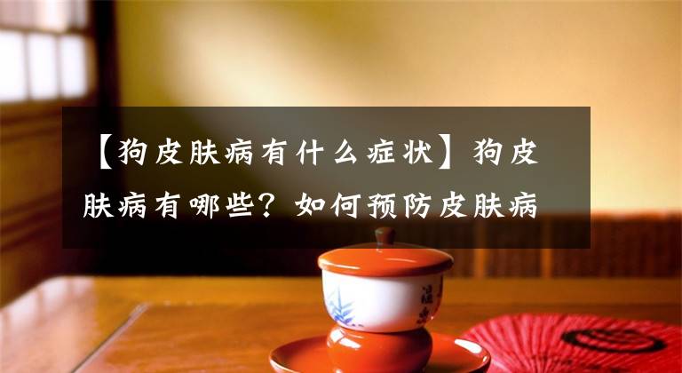 【狗皮肤病有什么症状】狗皮肤病有哪些？如何预防皮肤病？得了皮肤病怎么办？