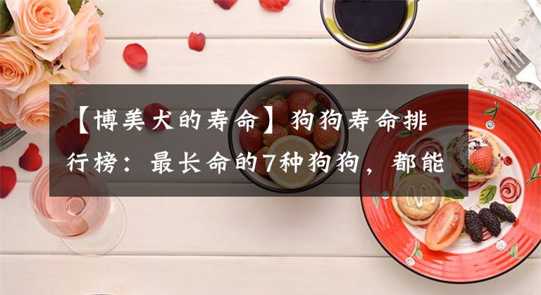 【博美犬的寿命】狗狗寿命排行榜：最长命的7种狗狗，都能活十年以上