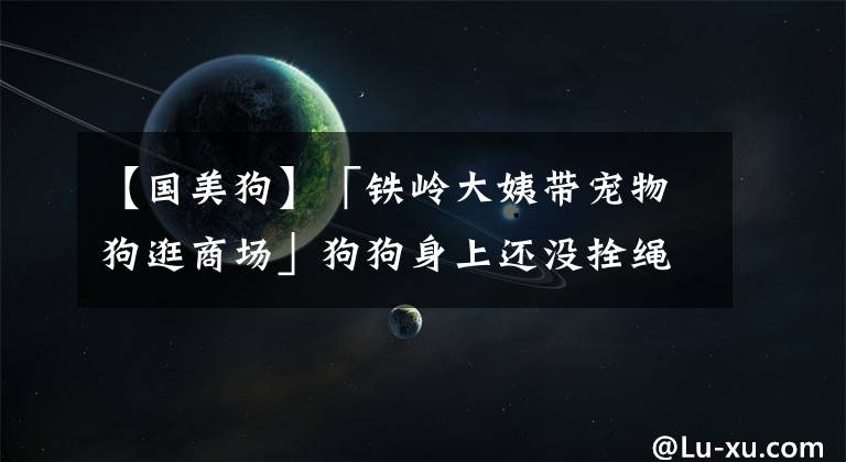 【国美狗】「铁岭大姨带宠物狗逛商场」狗狗身上还没拴绳