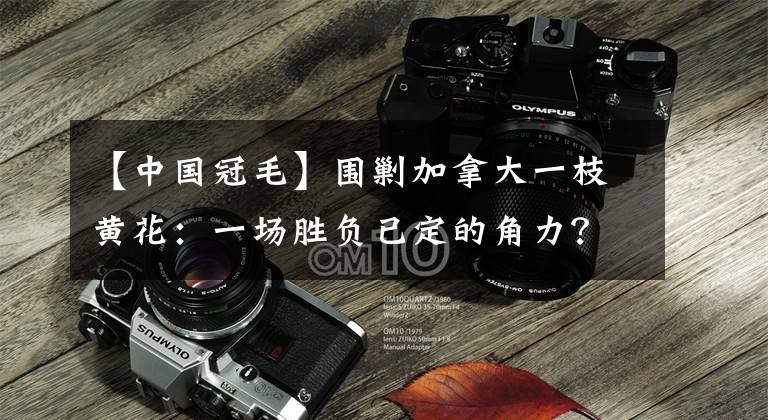 【中国冠毛】围剿加拿大一枝黄花：一场胜负已定的角力？