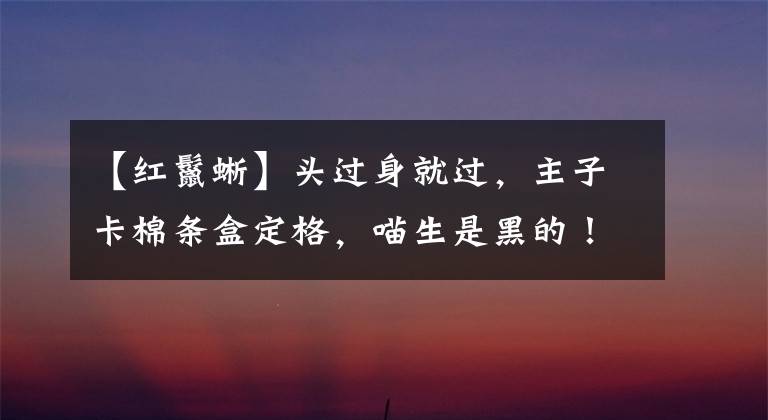 【红鬣蜥】头过身就过，主子卡棉条盒定格，喵生是黑的！