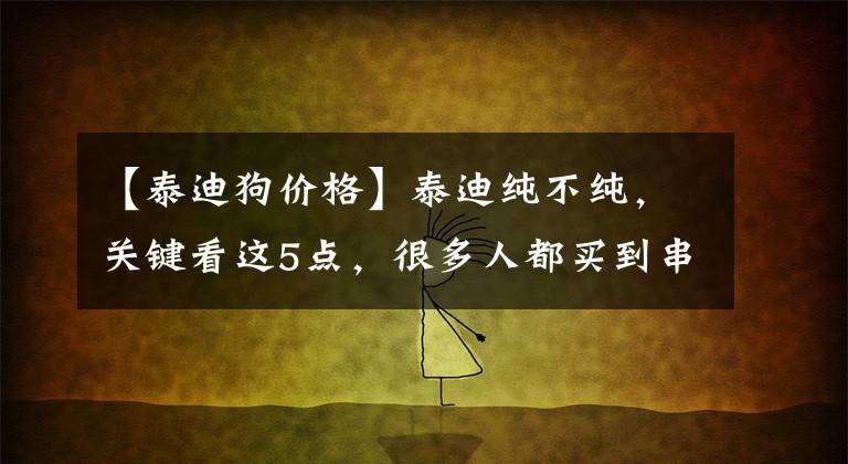 【泰迪狗价格】泰迪纯不纯，关键看这5点，很多人都买到串的了