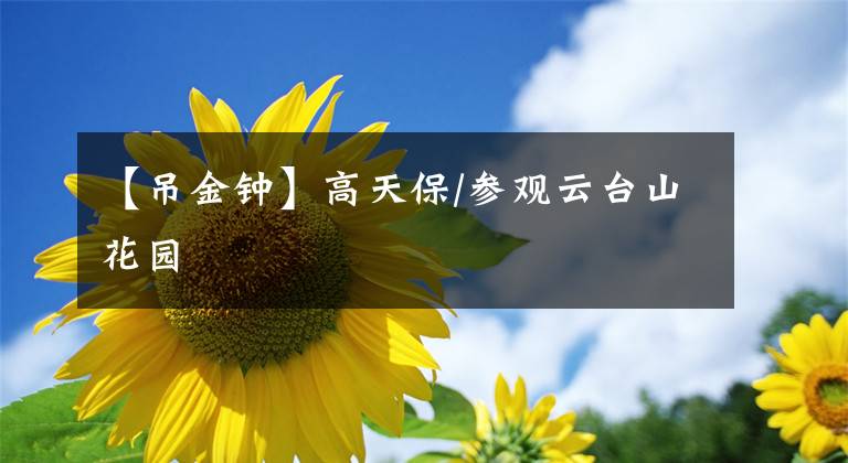 【吊金钟】高天保/参观云台山花园