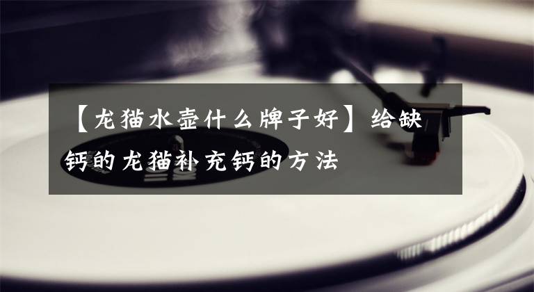 【龙猫水壶什么牌子好】给缺钙的龙猫补充钙的方法