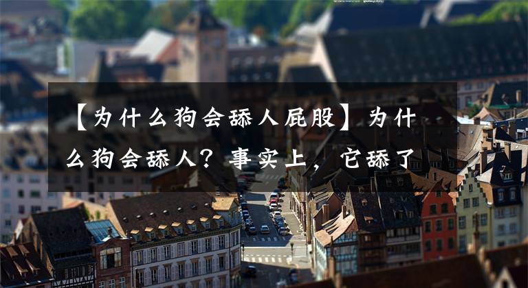 【为什么狗会舔人屁股】为什么狗会舔人？事实上，它舔了你一下才告诉你这个。