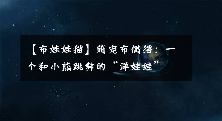 【布娃娃猫】萌宠布偶猫：一个和小熊跳舞的“洋娃娃”