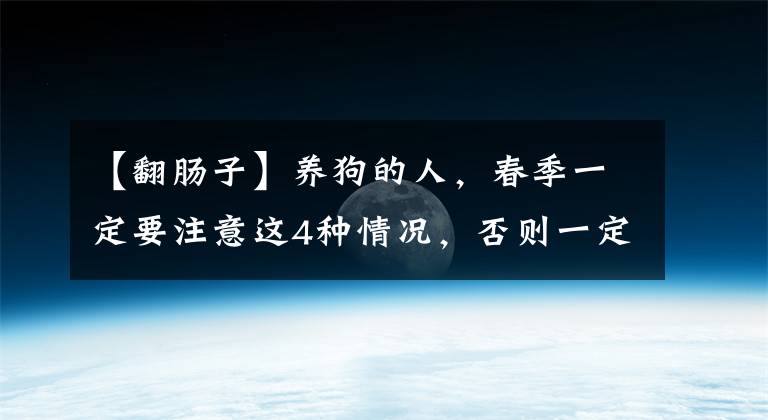 【翻肠子】养狗的人，春季一定要注意这4种情况，否则一定会后悔