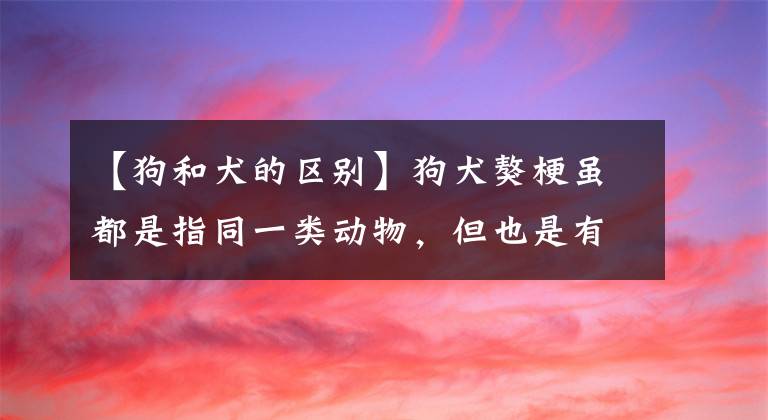 【狗和犬的区别】狗犬獒梗虽都是指同一类动物，但也是有区别的，狗犬獒梗的区别