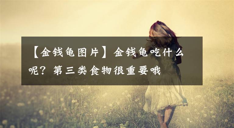 【金钱龟图片】金钱龟吃什么呢？第三类食物很重要哦‼️‼️
