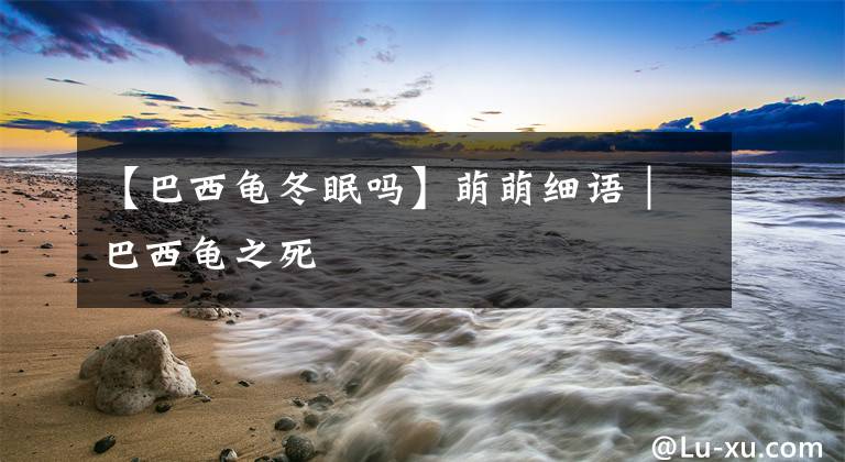 【巴西龟冬眠吗】萌萌细语｜巴西龟之死