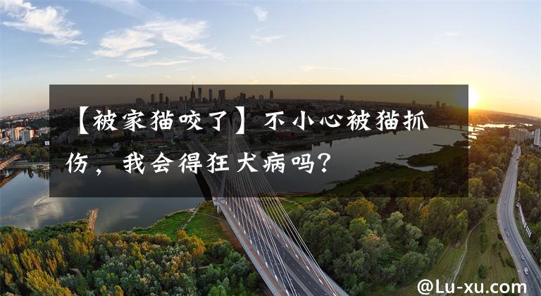 【被家猫咬了】不小心被猫抓伤，我会得狂犬病吗？
