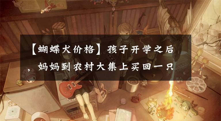【蝴蝶犬价格】孩子开学之后，妈妈到农村大集上买回一只宠物狗