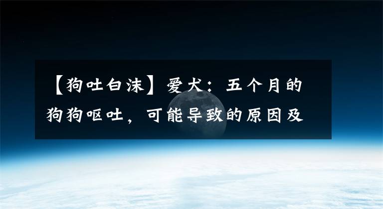 【狗吐白沫】爱犬：五个月的狗狗呕吐，可能导致的原因及相应的处理措施参考