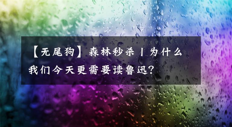 【无尾狗】森林秒杀丨为什么我们今天更需要读鲁迅？