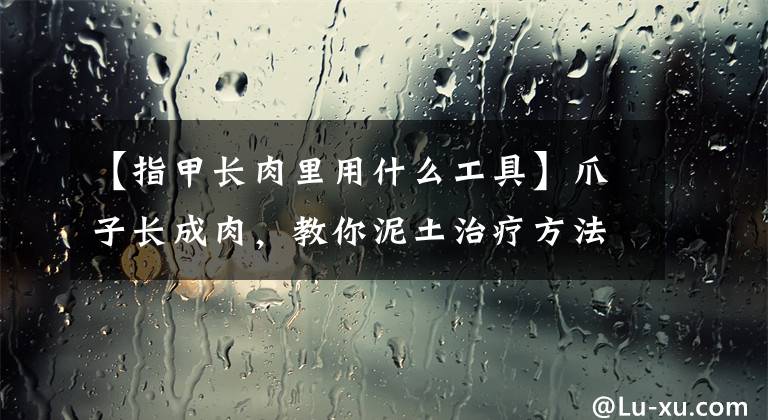 【指甲长肉里用什么工具】爪子长成肉，教你泥土治疗方法，真是漫长的知识啊！(莎士比亚)。