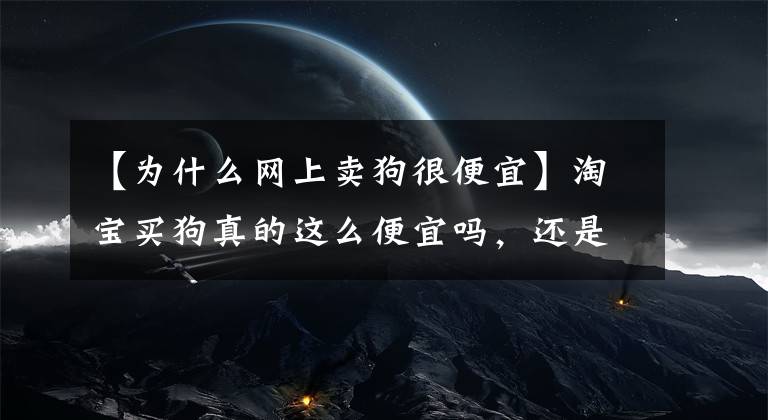 【为什么网上卖狗很便宜】淘宝买狗真的这么便宜吗，还是一个例子？