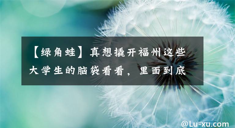 【绿角蛙】真想撬开福州这些大学生的脑袋看看，里面到底装着啥！